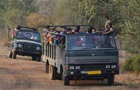 canter safari in sariska